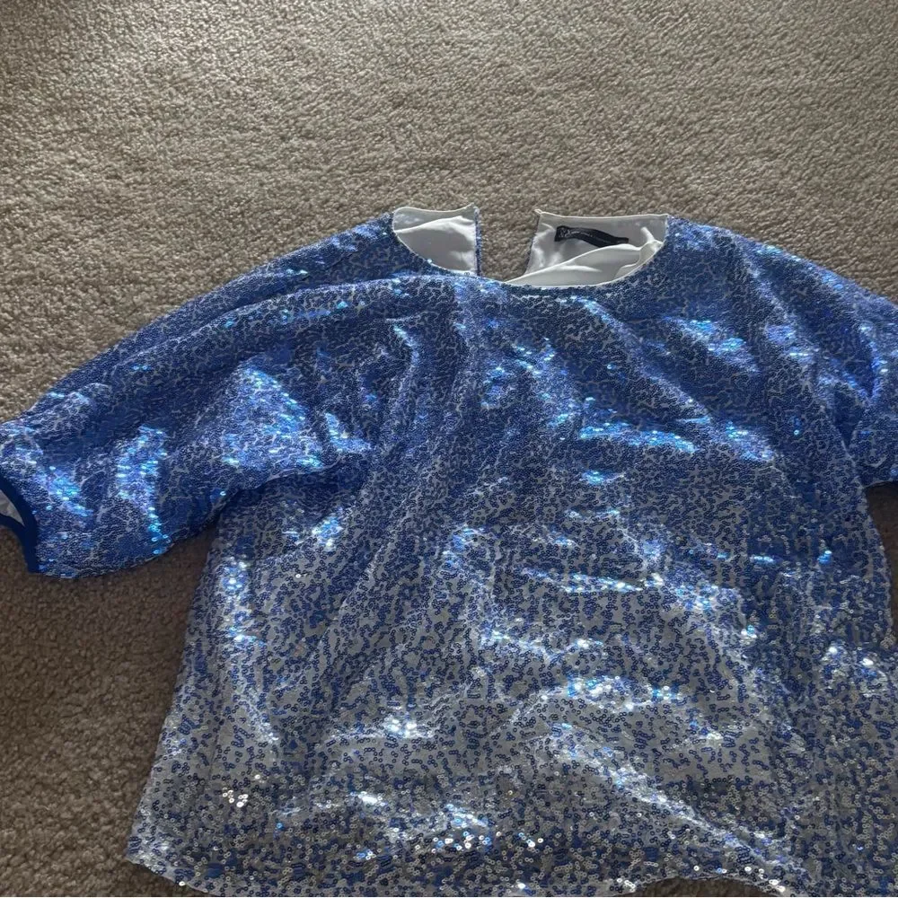 Ombre Sequin Dolman Top - Picture 3 of 3